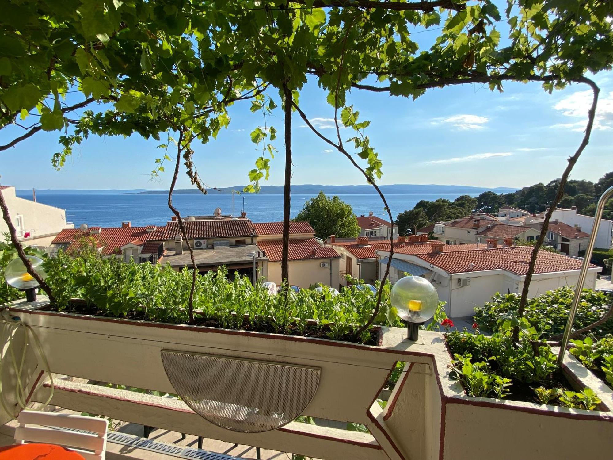Bed&Breakfast RiB Brela Exterior foto